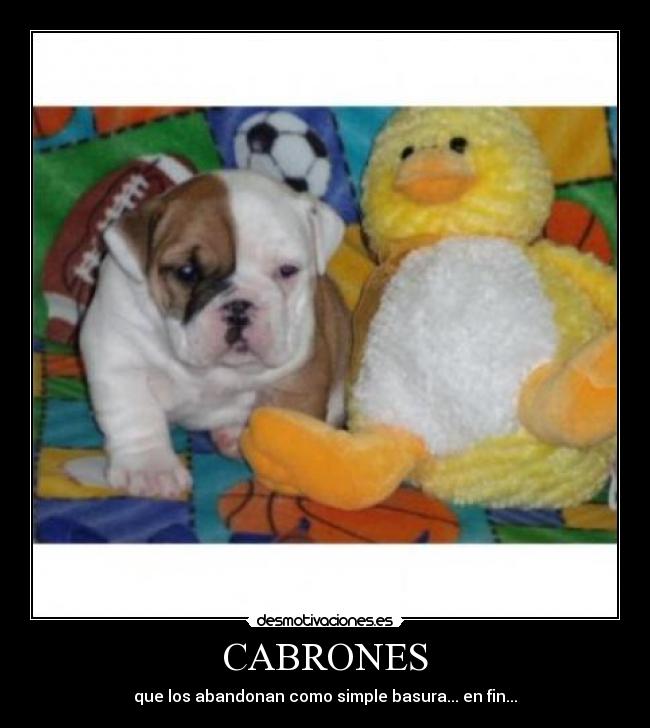 CABRONES - que los abandonan como simple basura... en fin...