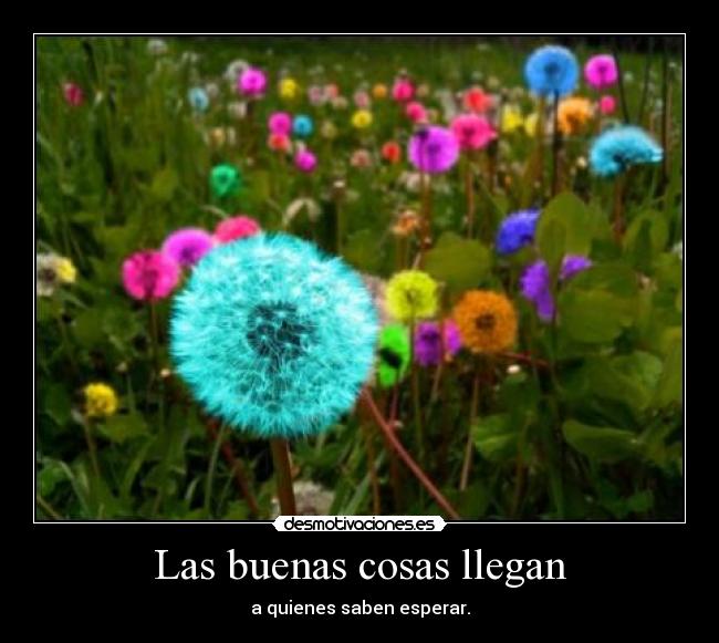 Las buenas cosas llegan - a quienes saben esperar.