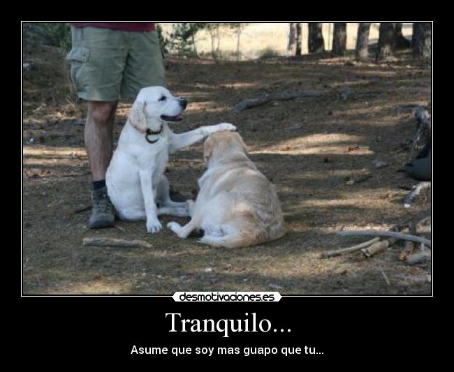Tranquilo... - Asume que soy mas guapo que tu...