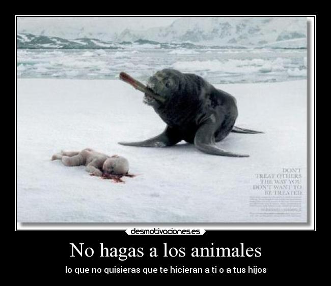 No hagas a los animales - 