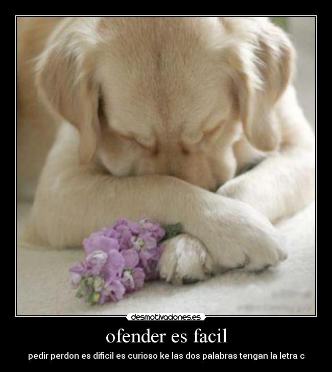 ofender es facil - 