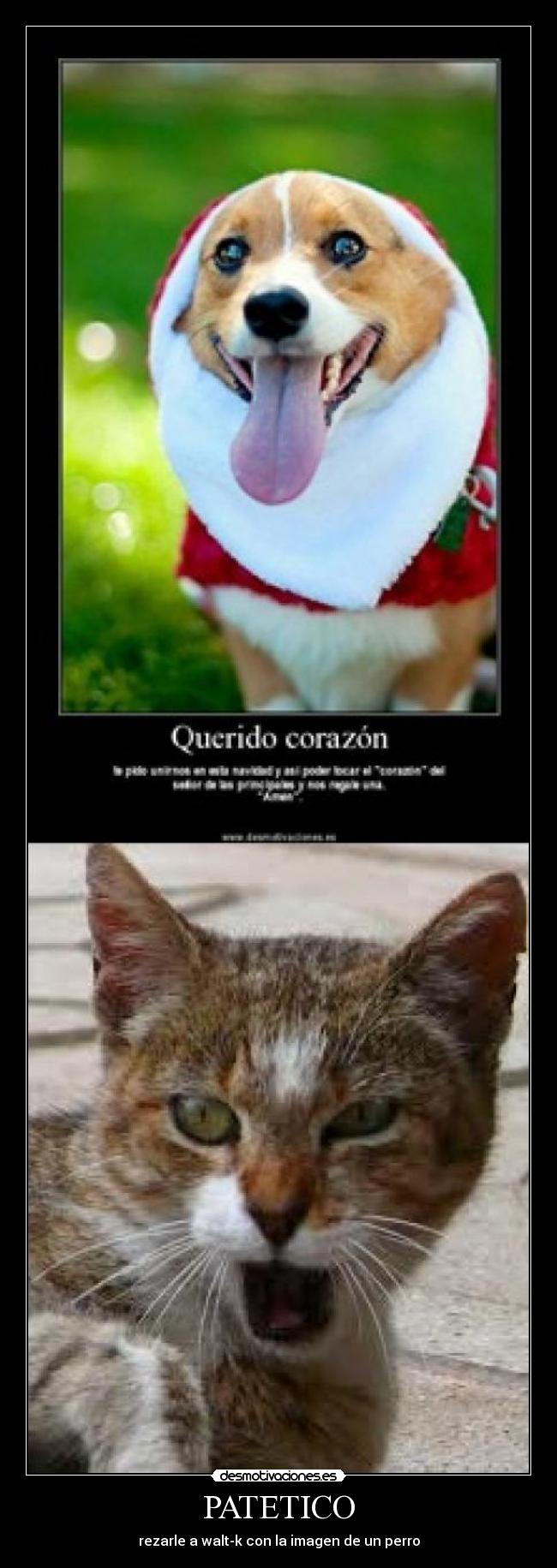 PATETICO - rezarle a walt-k con la imagen de un perro