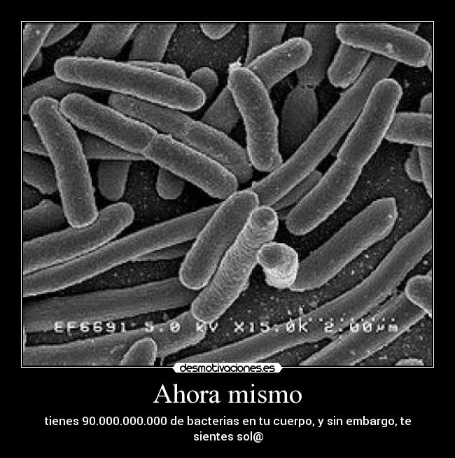 Ahora mismo - tienes 90.000.000.000 de bacterias en tu cuerpo, y sin embargo, te sientes sol@