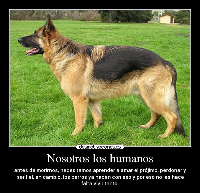 carteles lulixd desmotivaciones