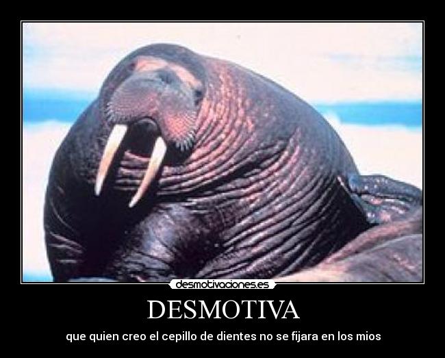 DESMOTIVA -