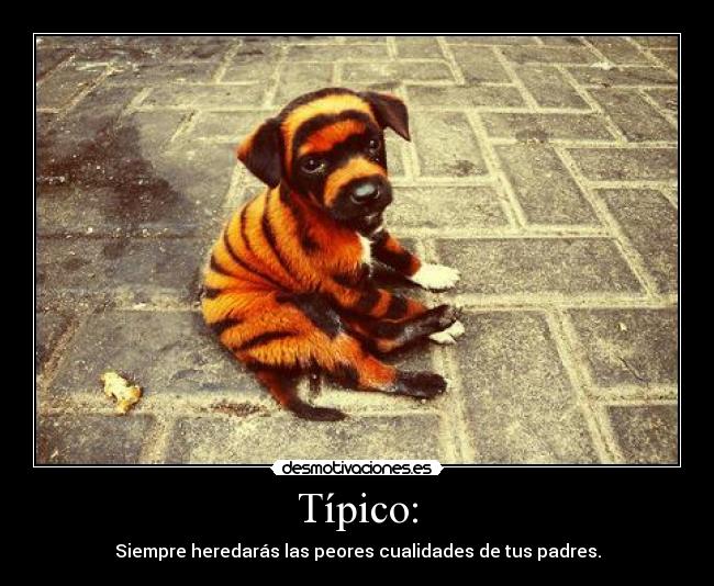 carteles merdaenbote etobneadrem desmotivaciones