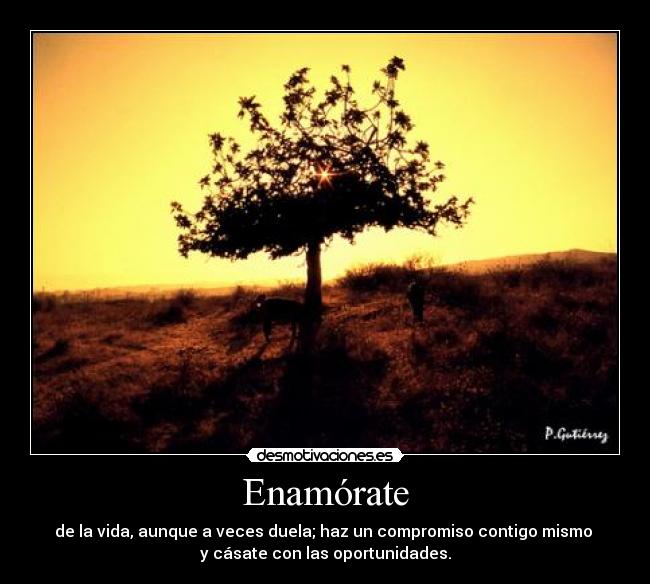Enamórate - de la vida, aunque a veces duela; haz un compromiso contigo mismo
y cásate con las oportunidades.