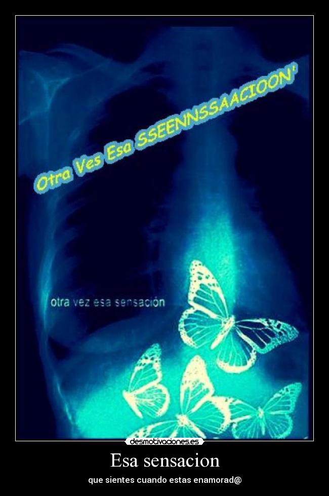 Esa sensacion - que sientes cuando estas enamorad@