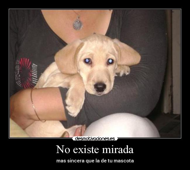 No existe mirada -