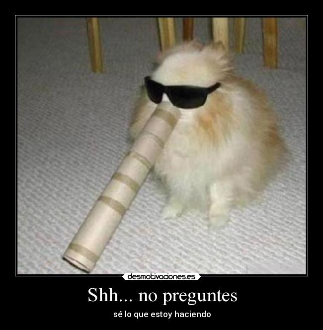 Shh... no preguntes - sé lo que estoy haciendo