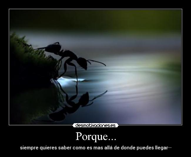 Porque... -