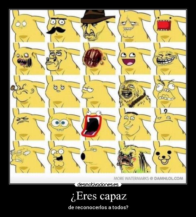 ¿Eres capaz - de reconocerlos a todos?