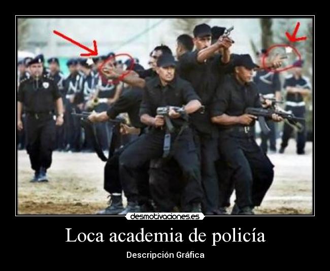 Loca academia de policía - Descripción Gráfica