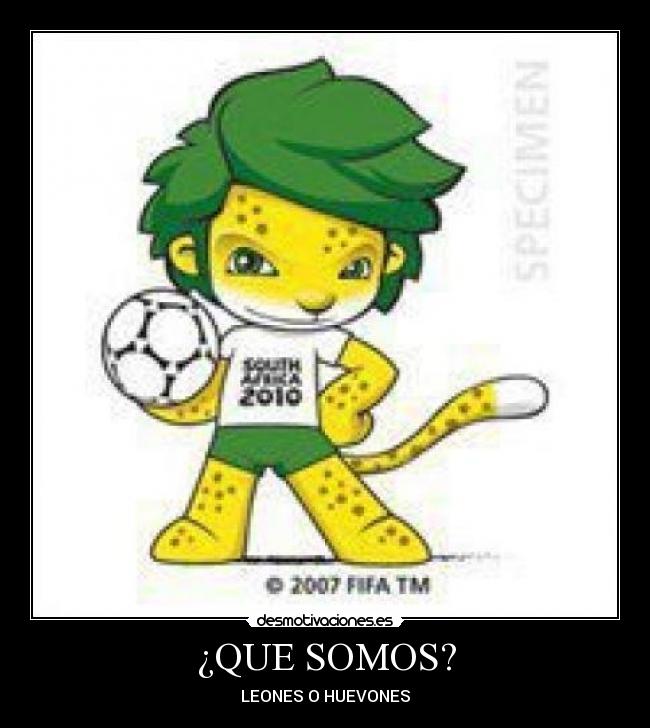 ¿QUE SOMOS? - 