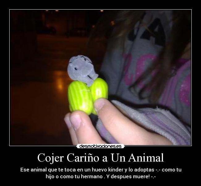 carteles hipopotamo desmotivaciones