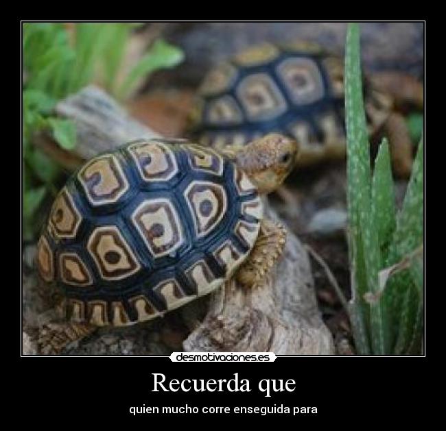 Recuerda que - quien mucho corre enseguida para