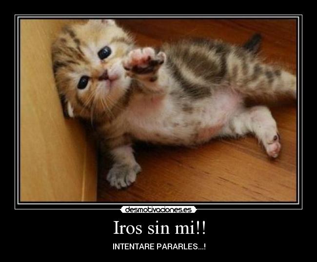 Iros sin mi!! - 