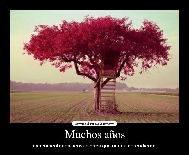 Muchos años - experimentando sensaciones que nunca entendieron.