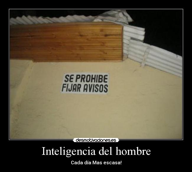 Inteligencia del hombre - 