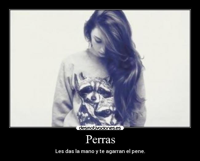 carteles perras desmotivaciones