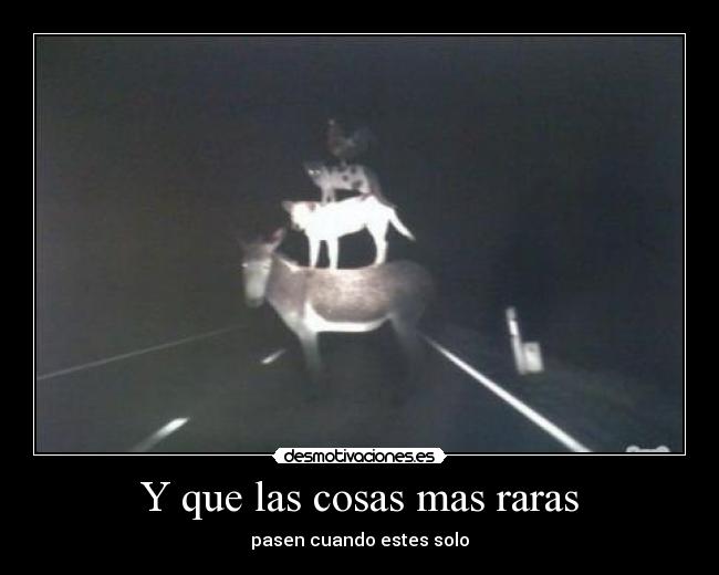 Y que las cosas mas raras - pasen cuando estes solo