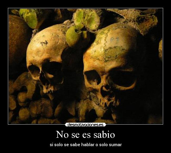 carteles bellum veritatis nart sabio cienciasyletrasunidas dedicado nightnana desmotivaciones