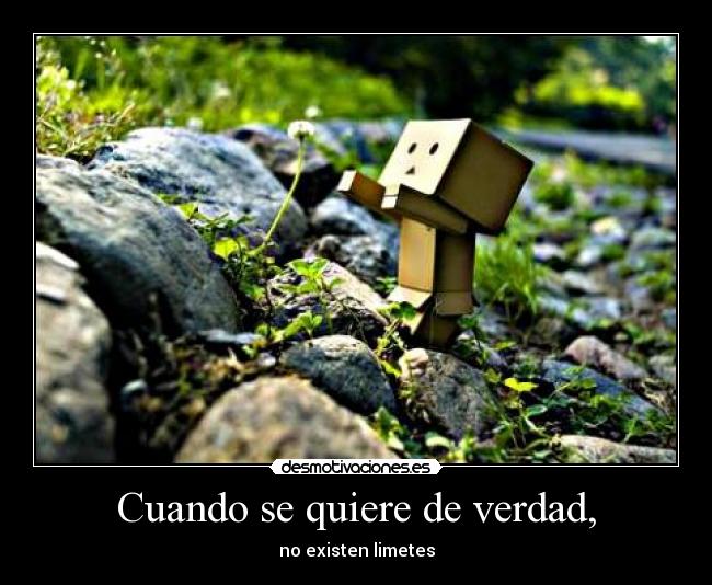 Cuando se quiere de verdad, - no existen limetes