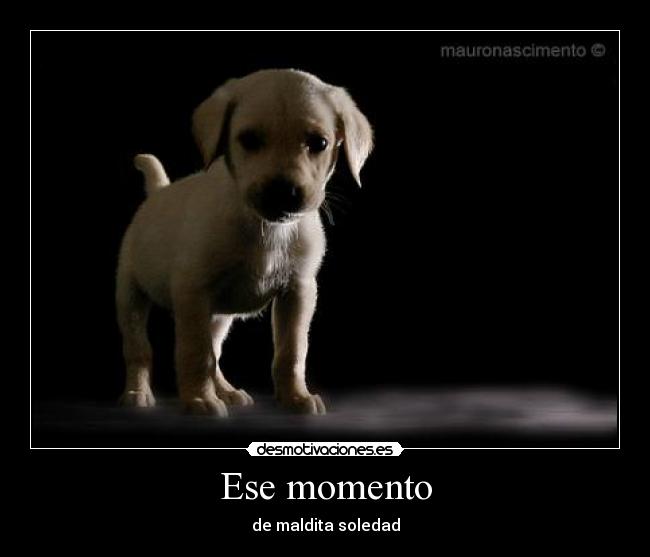 Ese momento - de maldita soledad