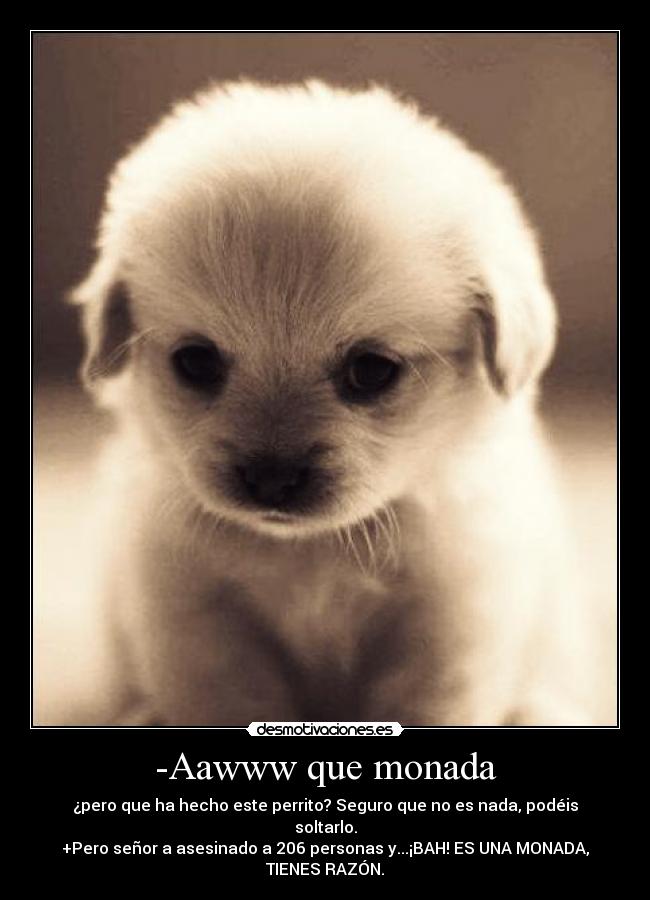 -Aawww que monada - ¿pero que ha hecho este perrito? Seguro que no es nada, podéis
soltarlo.
+Pero señor a asesinado a 206 personas y...¡BAH! ES UNA MONADA,
TIENES RAZÓN.