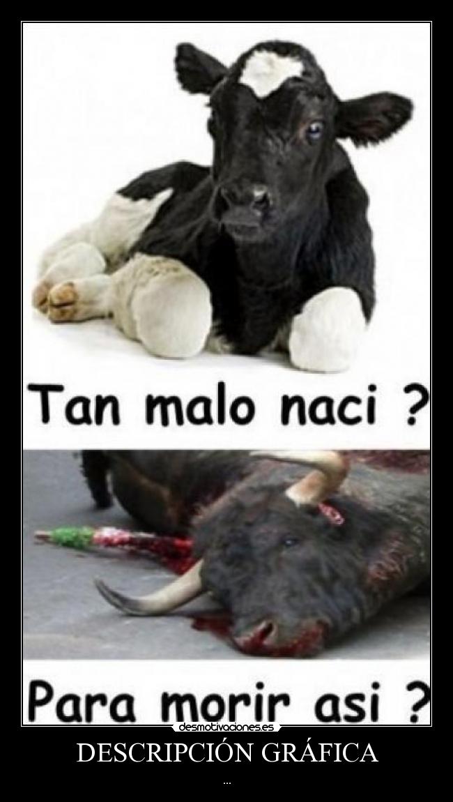 DESCRIPCIÓN GRÁFICA -