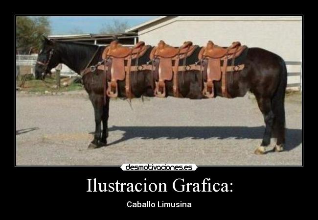 Ilustracion Grafica: -