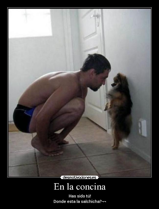 carteles zezee desmotivaciones