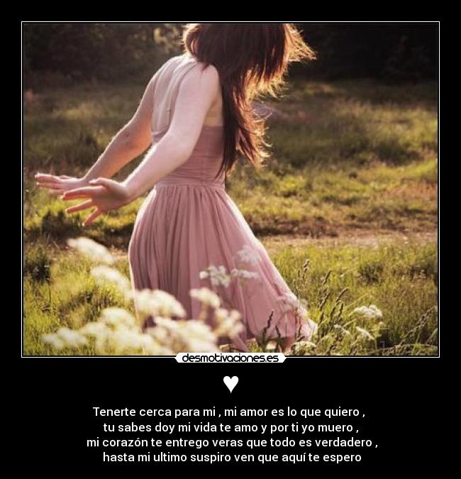 ♥ - Tenerte cerca para mi , mi amor es lo que quiero ,
tu sabes doy mi vida te amo y por ti yo muero ,
mi corazón te entrego veras que todo es verdadero ,
hasta mi ultimo suspiro ven que aquí te espero