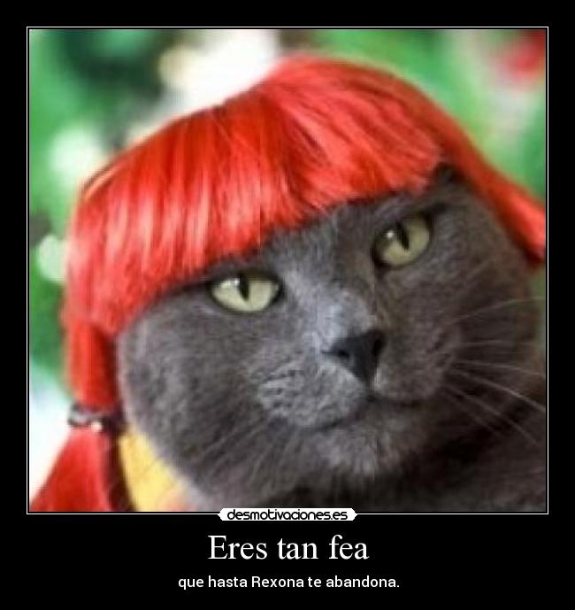 Eres tan fea - 