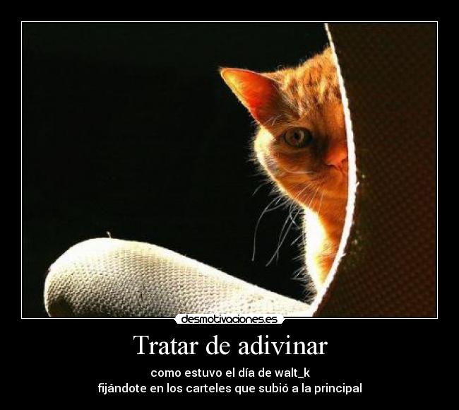 Tratar de adivinar - 