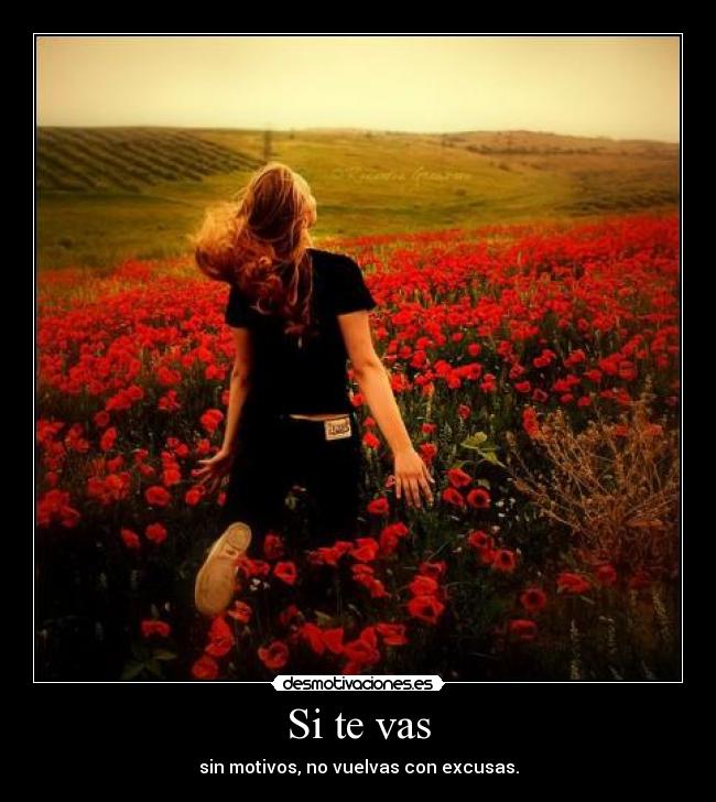Si te vas - 