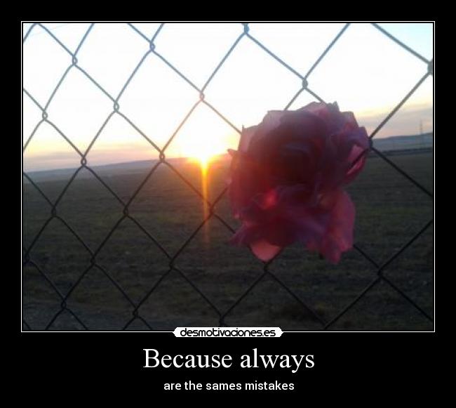 carteles because always desmotivaciones