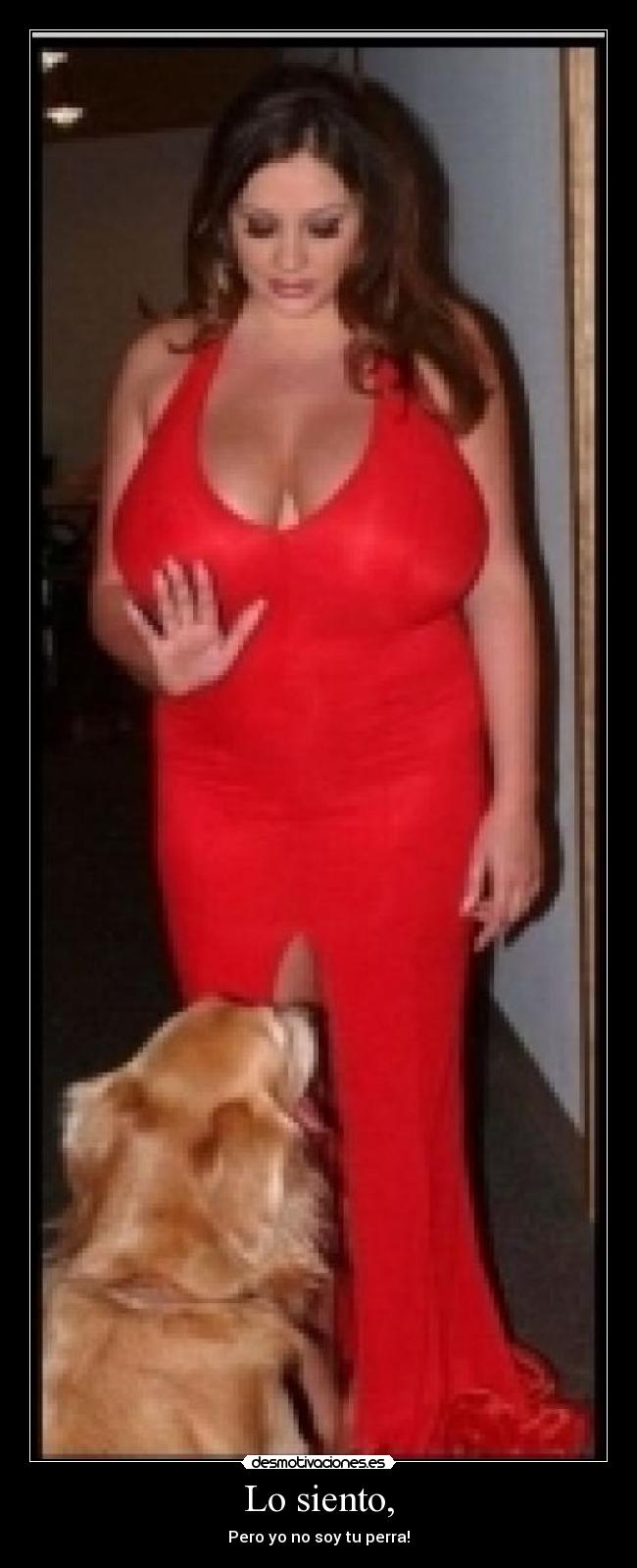 carteles zezee desmotivaciones