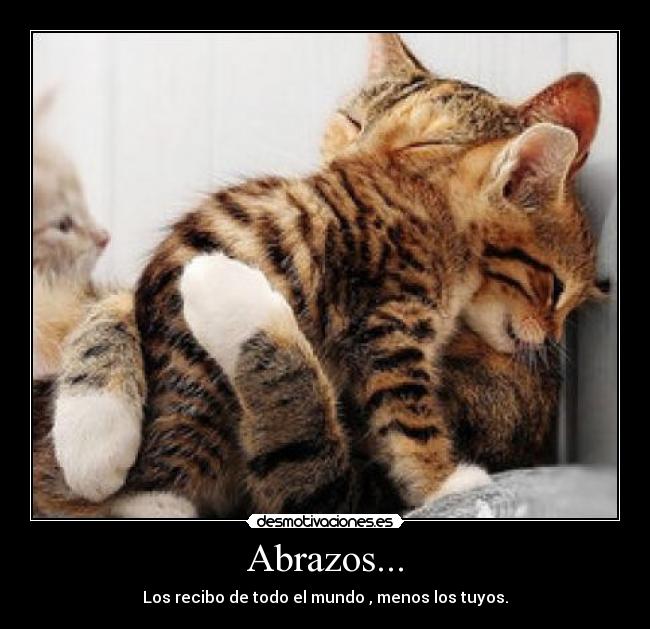 Abrazos... - 