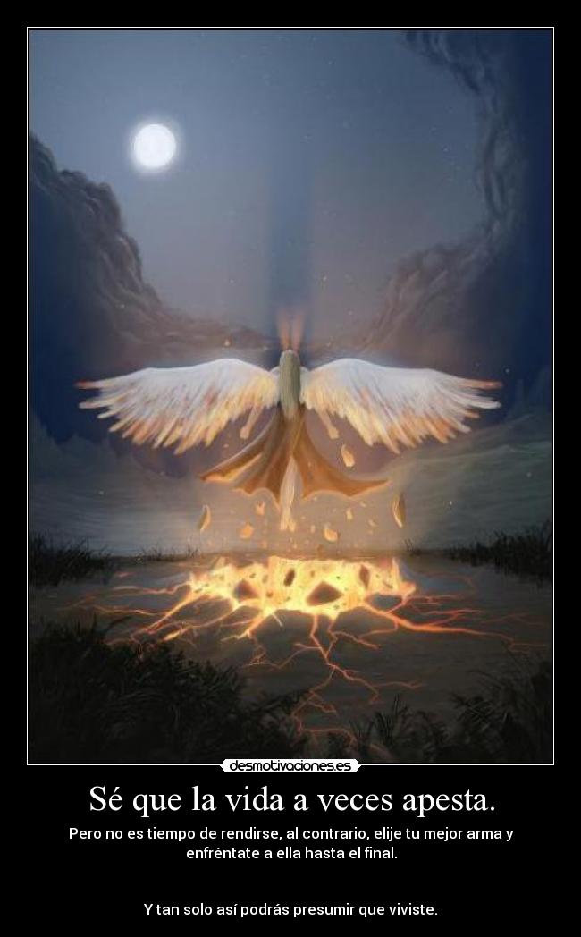 Sé que la vida a veces apesta. - Pero no es tiempo de rendirse, al contrario, elije tu mejor arma y
enfréntate a ella hasta el final.
Y tan solo así podrás presumir que viviste.