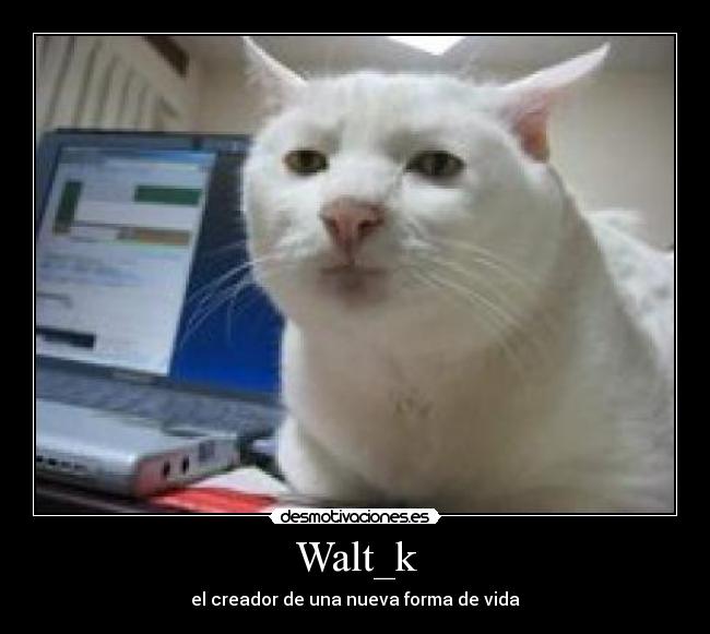 Walt_k - 