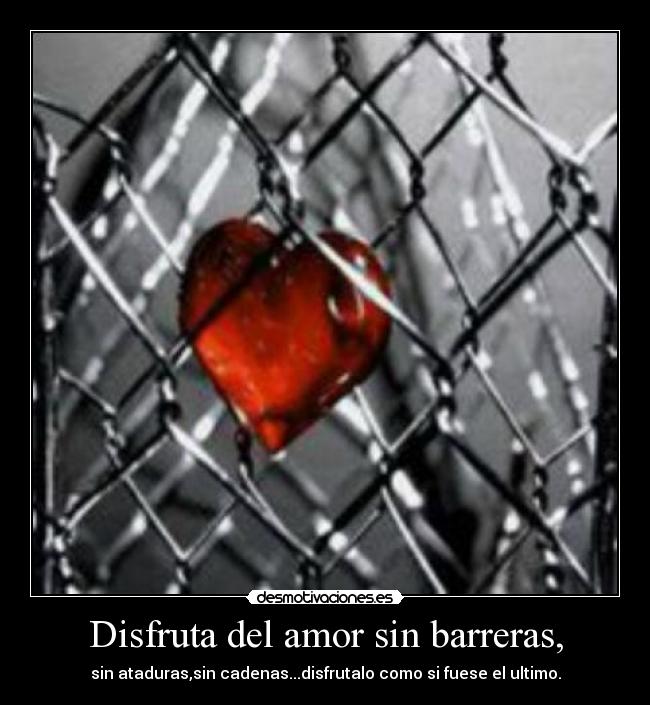 Disfruta del amor sin barreras, - 