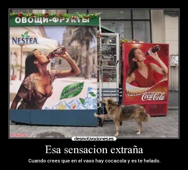 Esa sensacion extraña - Cuando crees que en el vaso hay cocacola y es te helado.