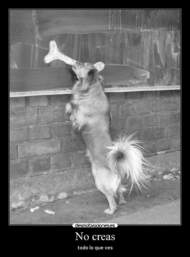 carteles isosceles desmotivaciones