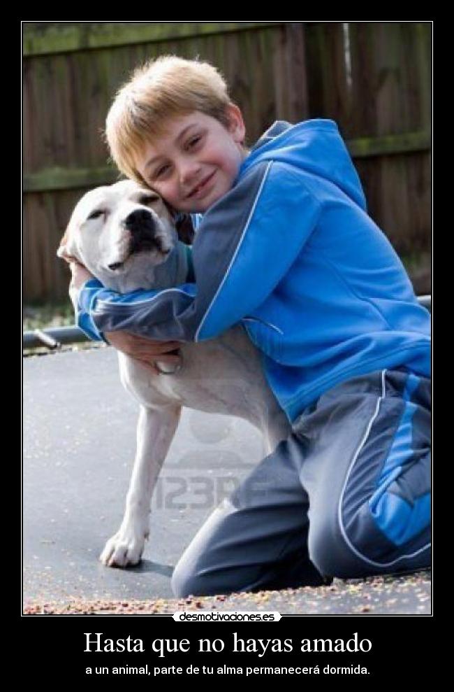 Hasta que no hayas amado -