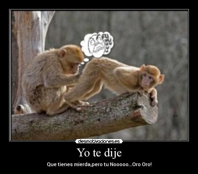 carteles zezee desmotivaciones