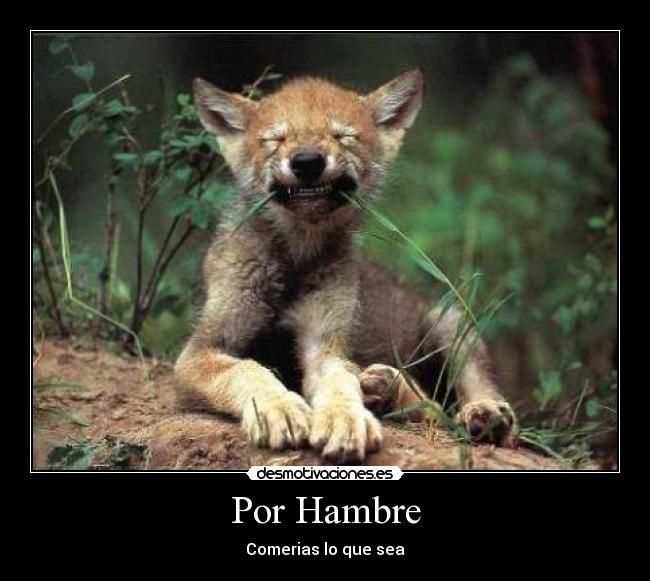 Por Hambre - Comerias lo que sea