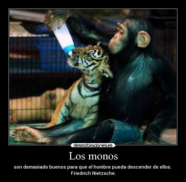 Los monos - 