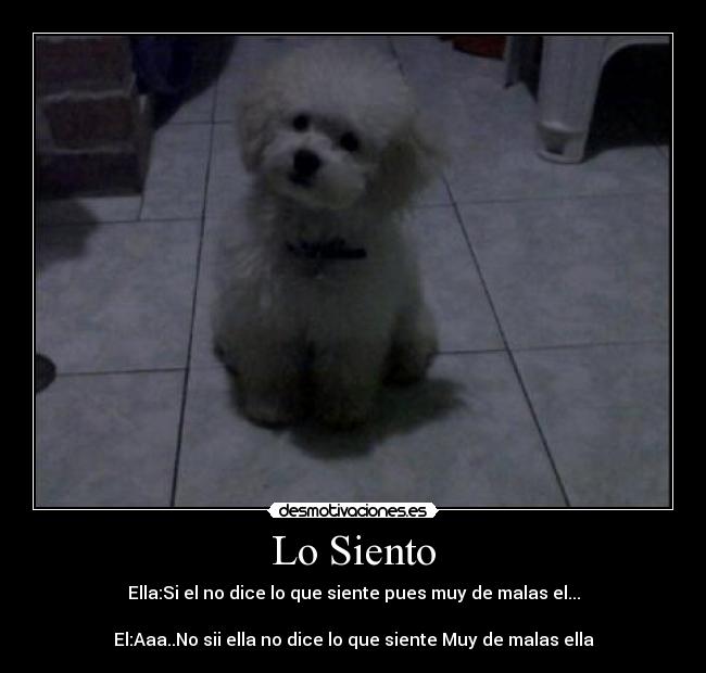 Lo Siento - Ella:Si el no dice lo que siente pues muy de malas el...
El:Aaa..No sii ella no dice lo que siente Muy de malas ella