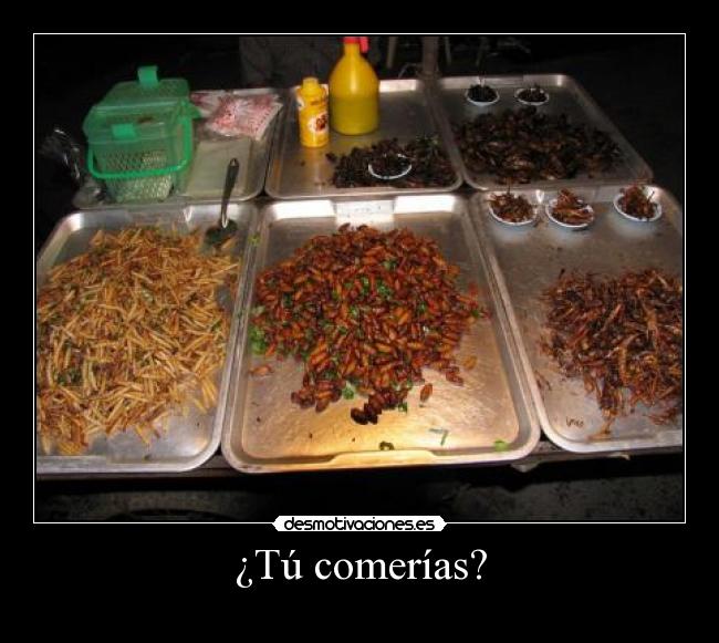 ¿Tú comerías? - 